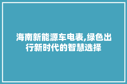 海南新能源车电表,绿色出行新时代的智慧选择