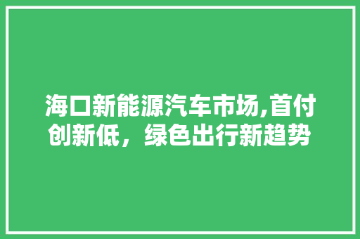 海口新能源汽车市场,首付创新低，绿色出行新趋势