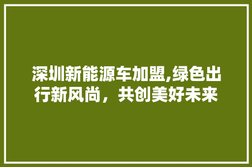 深圳新能源车加盟,绿色出行新风尚，共创美好未来