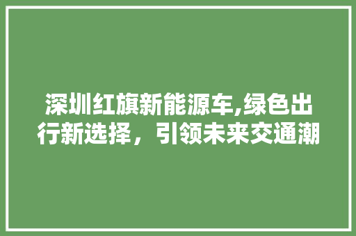 深圳红旗新能源车,绿色出行新选择，引领未来交通潮流 车联网技术