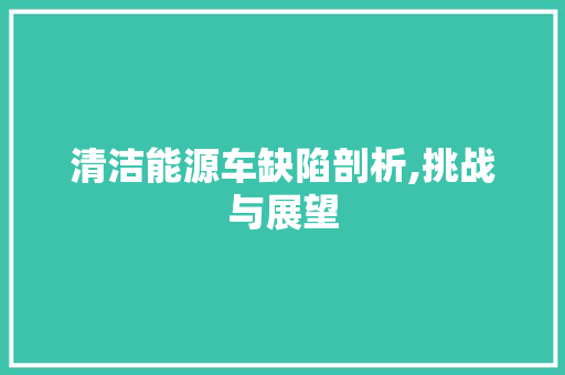 清洁能源车缺陷剖析,挑战与展望