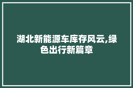 湖北新能源车库存风云,绿色出行新篇章