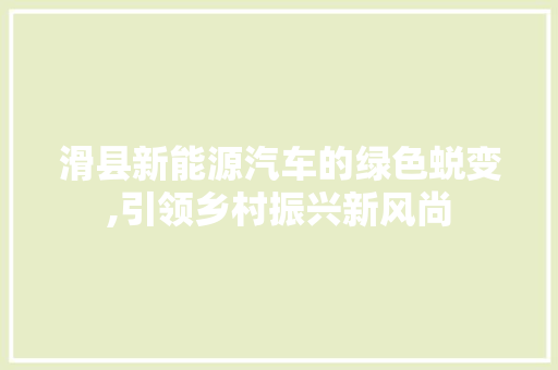 滑县新能源汽车的绿色蜕变,引领乡村振兴新风尚