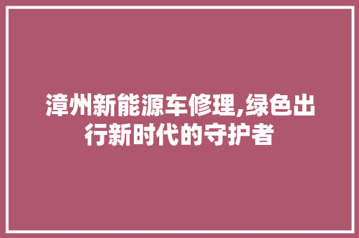 漳州新能源车修理,绿色出行新时代的守护者