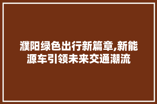 濮阳绿色出行新篇章,新能源车引领未来交通潮流