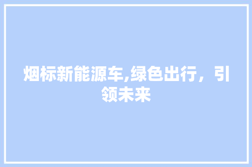 烟标新能源车,绿色出行，引领未来