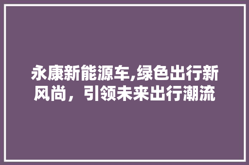 永康新能源车,绿色出行新风尚，引领未来出行潮流