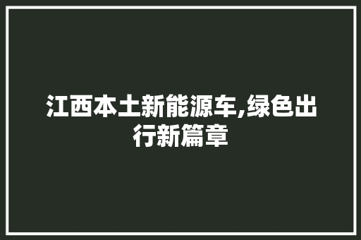 江西本土新能源车,绿色出行新篇章