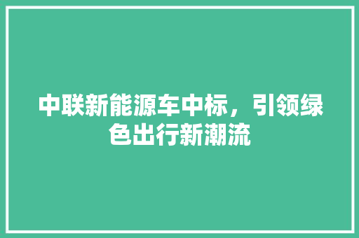 中联新能源车中标，引领绿色出行新潮流