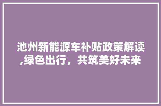 池州新能源车补贴政策解读,绿色出行，共筑美好未来