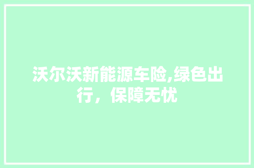 沃尔沃新能源车险,绿色出行，保障无忧