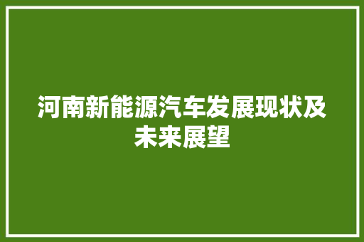 河南新能源汽车发展现状及未来展望
