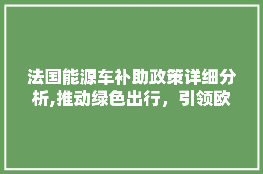 法国能源车补助政策详细分析,推动绿色出行，引领欧洲环保新潮流