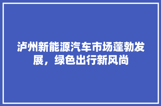 泸州新能源汽车市场蓬勃发展，绿色出行新风尚 混合动力车