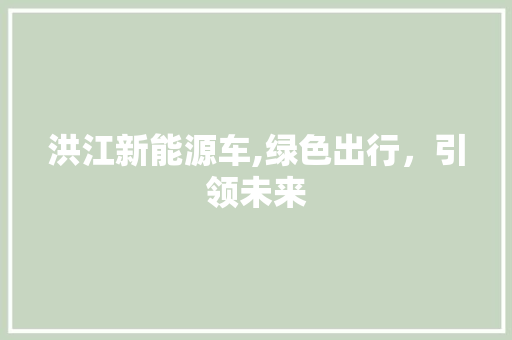洪江新能源车,绿色出行，引领未来