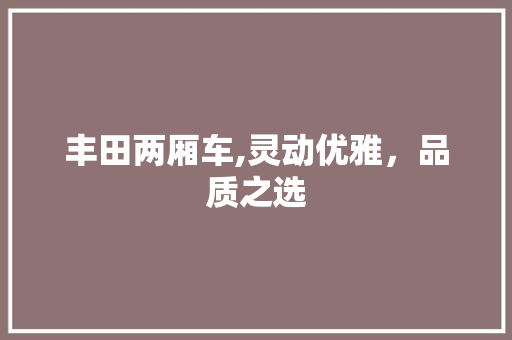 丰田两厢车,灵动优雅，品质之选