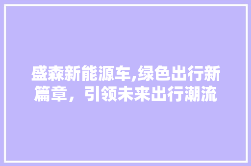 盛森新能源车,绿色出行新篇章，引领未来出行潮流
