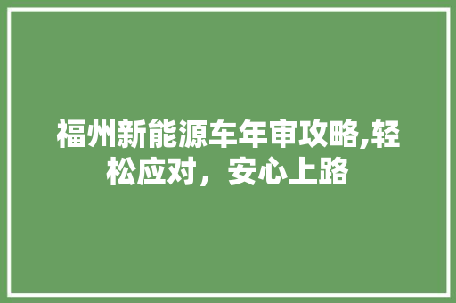 福州新能源车年审攻略,轻松应对，安心上路