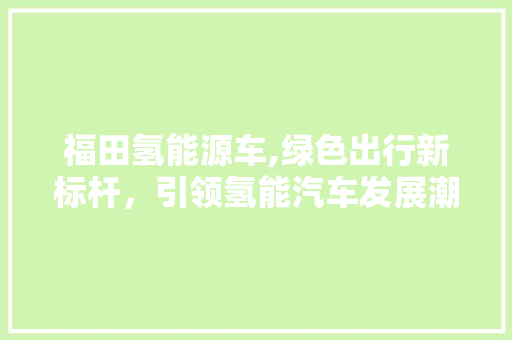 福田氢能源车,绿色出行新标杆，引领氢能汽车发展潮流