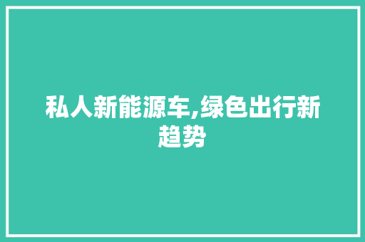 私人新能源车,绿色出行新趋势