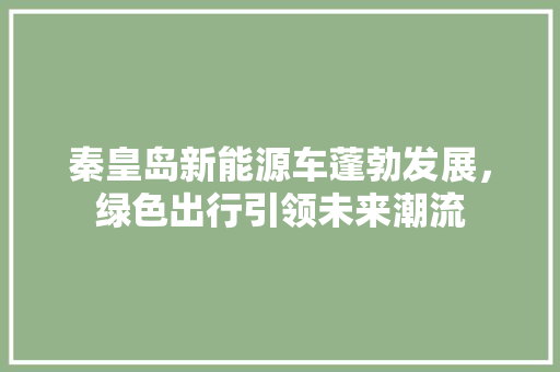 秦皇岛新能源车蓬勃发展，绿色出行引领未来潮流