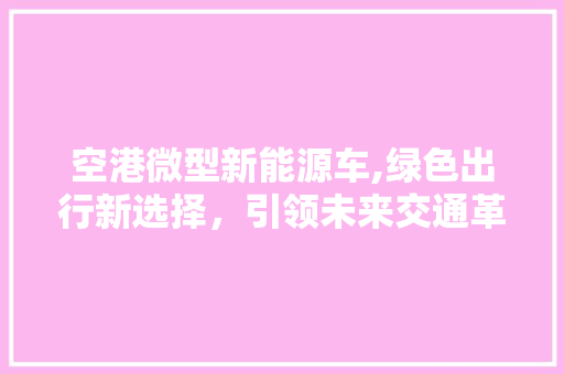 空港微型新能源车,绿色出行新选择，引领未来交通革命