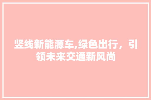 竖线新能源车,绿色出行，引领未来交通新风尚