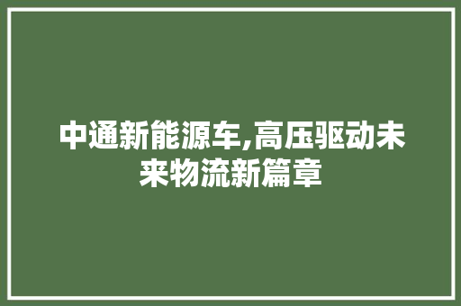 中通新能源车,高压驱动未来物流新篇章