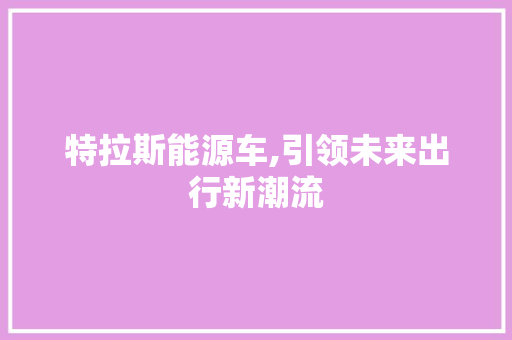 特拉斯能源车,引领未来出行新潮流