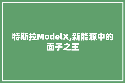 特斯拉ModelX,新能源中的面子之王