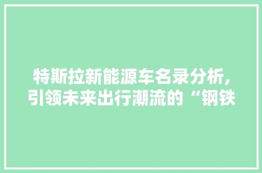 特斯拉新能源车名录分析,引领未来出行潮流的“钢铁侠”杰作