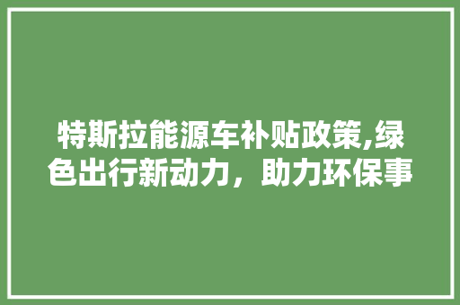 特斯拉能源车补贴政策,绿色出行新动力，助力环保事业迈向新高峰 自动驾驶