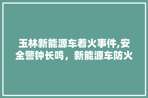 玉林新能源车着火事件,安全警钟长鸣，新能源车防火问题亟待解决