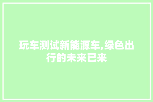 玩车测试新能源车,绿色出行的未来已来 车型评测