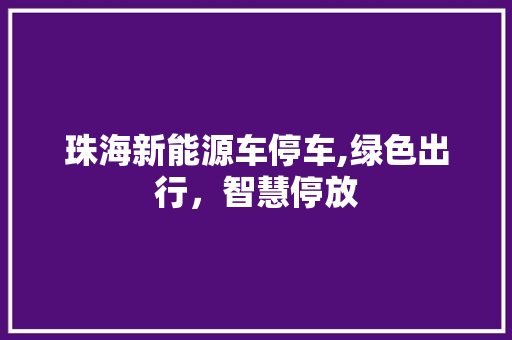珠海新能源车停车,绿色出行，智慧停放