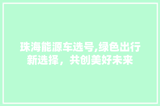 珠海能源车选号,绿色出行新选择，共创美好未来
