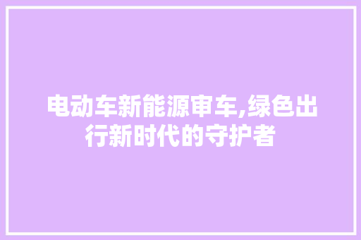 电动车新能源审车,绿色出行新时代的守护者