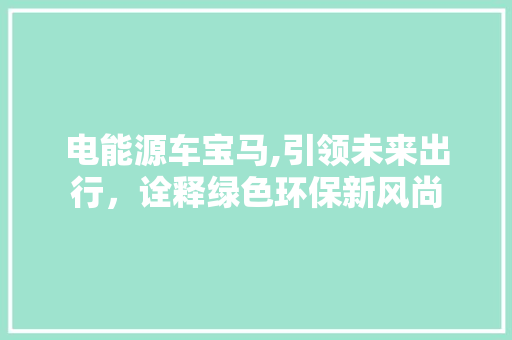 电能源车宝马,引领未来出行，诠释绿色环保新风尚