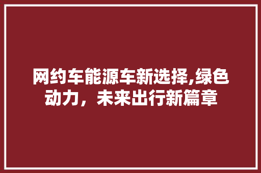 网约车能源车新选择,绿色动力，未来出行新篇章
