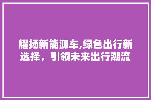 耀扬新能源车,绿色出行新选择，引领未来出行潮流