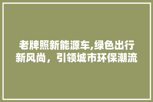 老牌照新能源车,绿色出行新风尚，引领城市环保潮流