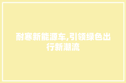耐寒新能源车,引领绿色出行新潮流