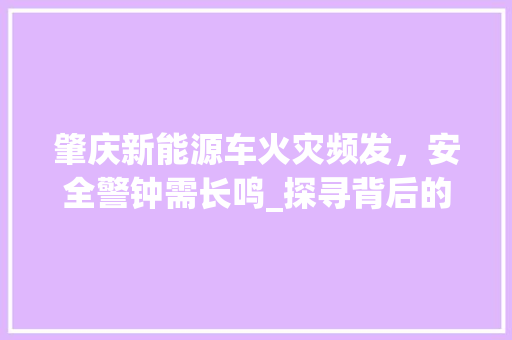 肇庆新能源车火灾频发，安全警钟需长鸣_探寻背后的原因与对策