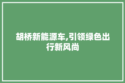 胡桥新能源车,引领绿色出行新风尚