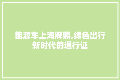 能源车上海牌照,绿色出行新时代的通行证