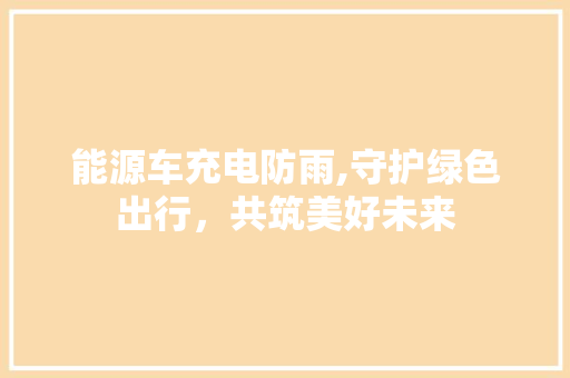 能源车充电防雨,守护绿色出行，共筑美好未来