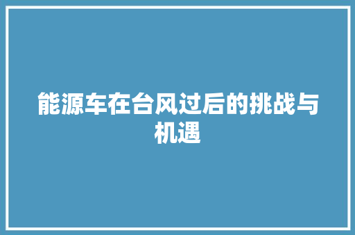 能源车在台风过后的挑战与机遇