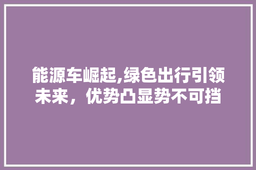 能源车崛起,绿色出行引领未来，优势凸显势不可挡 车型评测