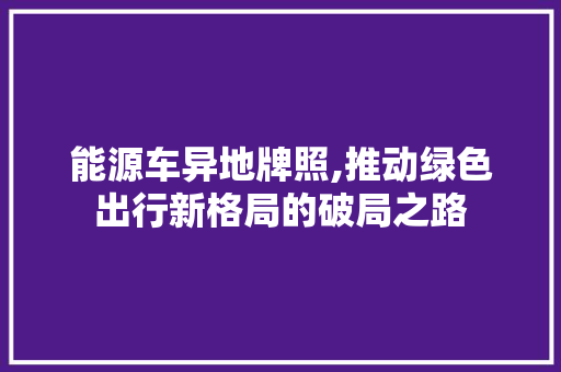 能源车异地牌照,推动绿色出行新格局的破局之路