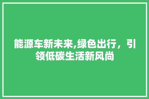 能源车新未来,绿色出行，引领低碳生活新风尚